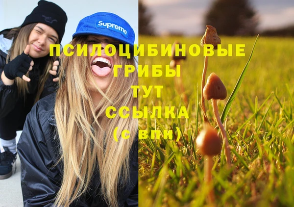 скорость Приозерск