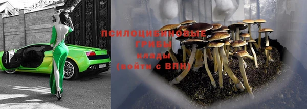 синтетический гашиш Протвино