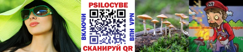 Галлюциногенные грибы мицелий  OMG ССЫЛКА  Туапсе 